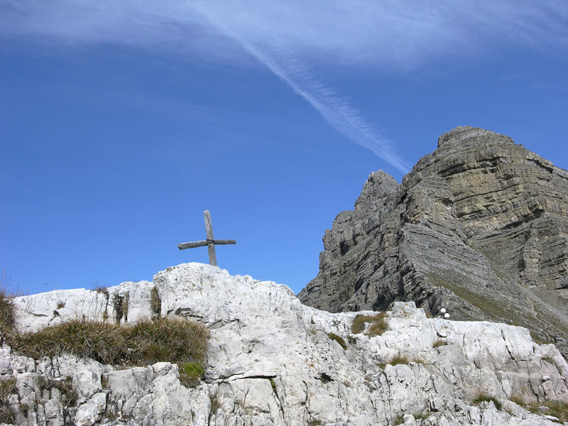 Quello che ho visto con gli occhi....